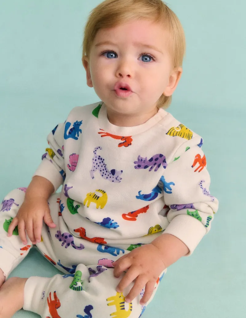 Tops & Bodysuits-Boden Printed Sweatshirt-Multi Spaced Rainbow Pets MultiSpacedRainbowPets